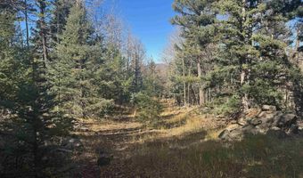 Rainbow Overlook lot 1227, Angel Fire, NM 87710