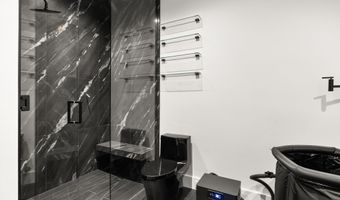 219 W Bleeker St, Aspen, CO 81611