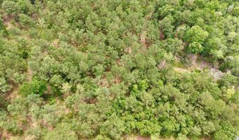 Fox Paw Court, Branchville, SC 29432