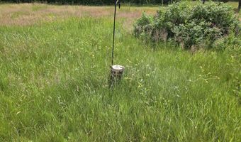 8800 Hwy 73, Angora, MN 55723