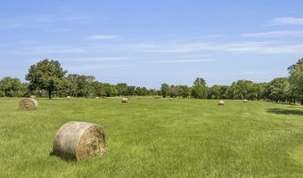 365 County Road 1534, Alba, TX 75410