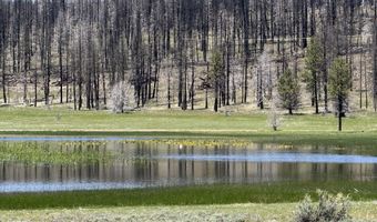 Off Hicks Road Lot 3, Bly, OR 97622