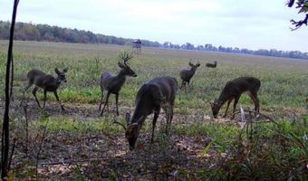 0 Straight Bayou Rd, Anguilla, MS 38721