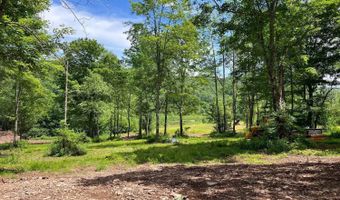 0 Woodland Hills Rd, Andes, NY 13731
