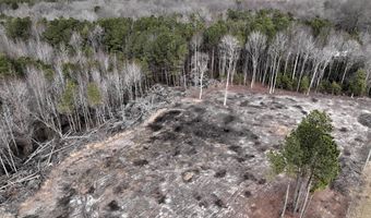 Lot 1 N UNION CHURCH RD, Ellendale, DE 19941