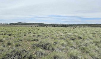 226 Duree Rd, Bickleton, WA 99322