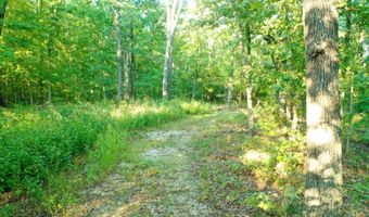 County Road P-305, Ava, MO 65608