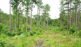 Lot 3 TBA MELITA RD 3, Arvonia, VA 23004
