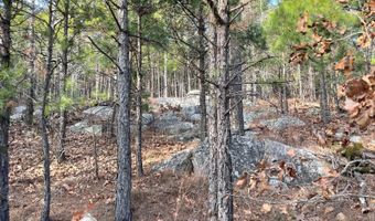 Tract 5 K-Trail, Albion, OK 74571