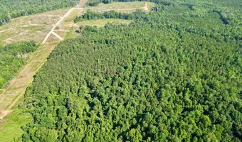 AL HWY 223, Banks, AL 36005