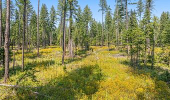 E Quarter Mile Rd, Athol, ID 83801