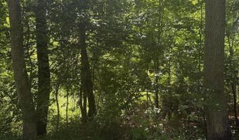 Patterson Hill Road lot 2, Belfast, ME 04915