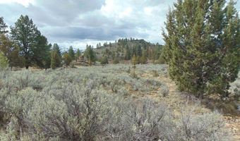 Tbd Rattlesnake Ln, Unity, OR 97884