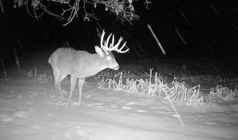 Simons Rd, Alma, WI 54610