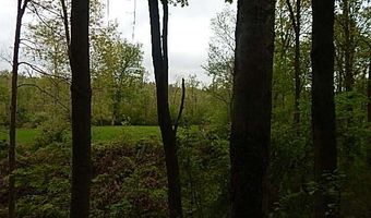 15252 27 Mile Rd, Albion, MI 49224