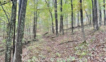 Jesse Run Rd, Arnoldsburg, WV 25234