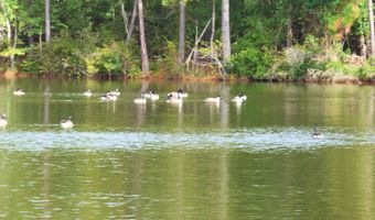 518 Saddle Dr, Camden, SC 29020