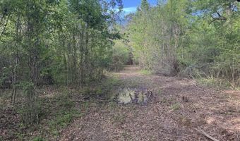 1311 A N Jackson St, Brookhaven, MS 39601