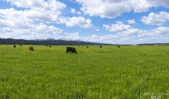 17 Gray Ln, Cascade, ID 83611