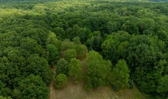 39 Acres N Pingree Rd, Alma, MI 48801