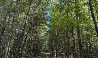 Coleman Mountain Road, Appomattox, VA 24522