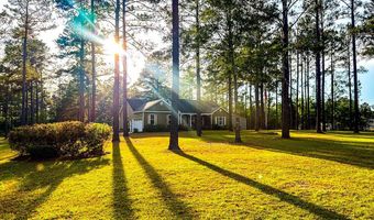 353 Alapaha River Dr, Alapaha, GA 31622