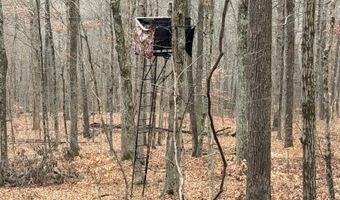 TBD1 E Willow Rd, Bloomfield, IN 47424