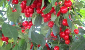 800 Gateway Park Ln, Berthoud, CO 80513