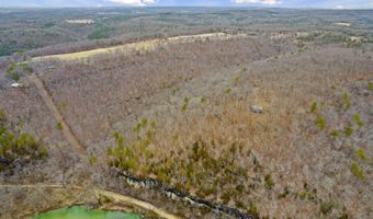 7064 County Road 14-223, Ava, MO 65608