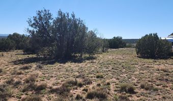 85 N 8522, Concho, AZ 85924