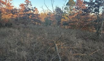 412110 E 1900 Rd, Antlers, OK 74523