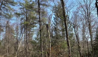 TALLMAN HOLLOW ROAD LOT #5, Montoursville, PA 17754