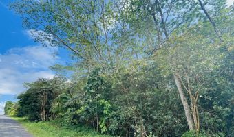 16 TH Ave, Keaau, HI 96749