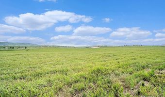 867 Carvin Ct, Berthoud, CO 80513