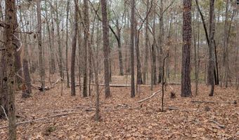 Lots B & C Miller Road, Camden, SC 29020