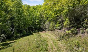1557 Shoal Creek Rd, Balsam Grove, NC 28708
