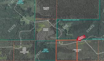 CR 557 40 Road, Arnold, MI 49819