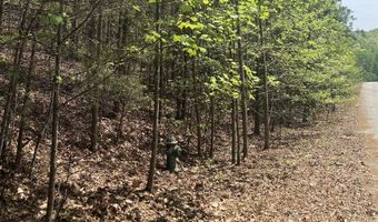 133 Lakeview Walk, Baldwin, GA 30511