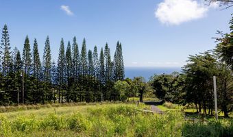 44-2527 KALOPA MAUKA Rd, Honokaa, HI 96727