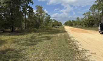 Jefferson Avenue, Alford, FL 32420