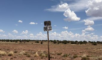 20 N 9160, Concho, AZ 85924