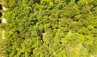 503 County Road 101, Alton, MO 65606