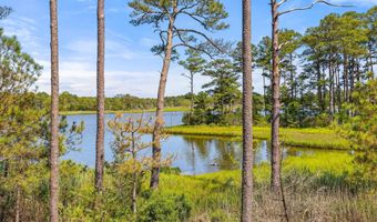 10528 WAR DANCER Ln, Berlin, MD 21811