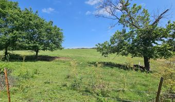 25 Acres State Highway F, Anderson, MO 64831