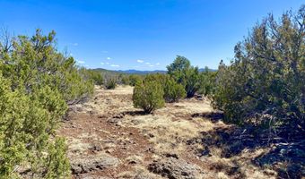 74 County Road 8056, Concho, AZ 85924