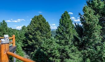 1062 Johnny Martinez Trl, Bozeman, MT 59715