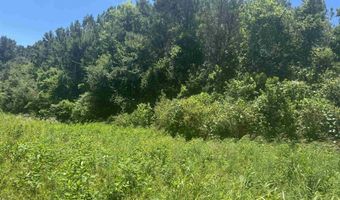 HIGHWAY 431 lot 0, Alexandria, AL 36250