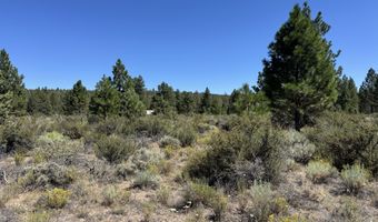 Bufflehead Drive 18, Bonanza, OR 97623
