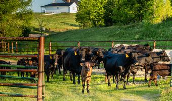 6152 County Road O-527, Ava, MO 65608