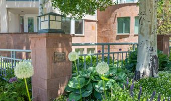 120 S Spring St 1, Aspen, CO 81611